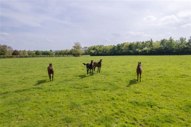 Eadling House, Punchestown, Naas, County Kildare