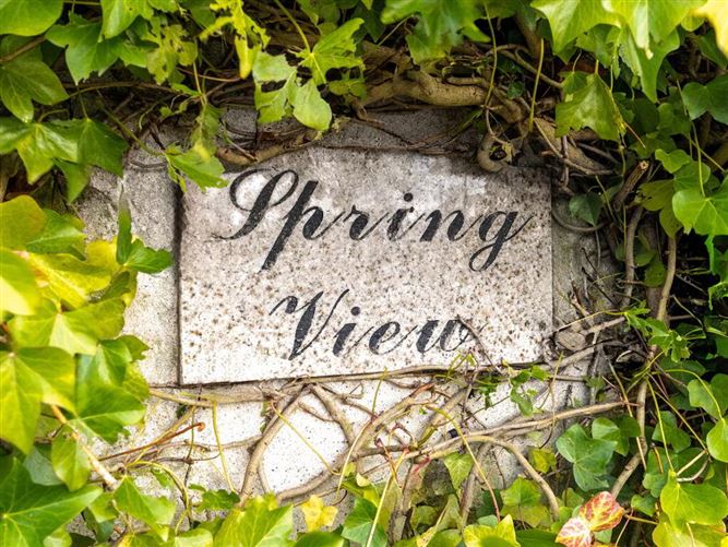 Spring View, Mayo, Crettyard, Carlow, Laois