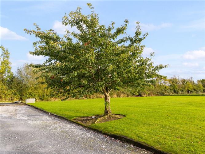 Spring View, Mayo, Crettyard, Carlow, Laois