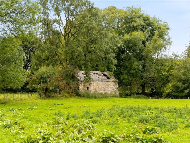 Talbotstown Fort, Kiltegan, Wicklow