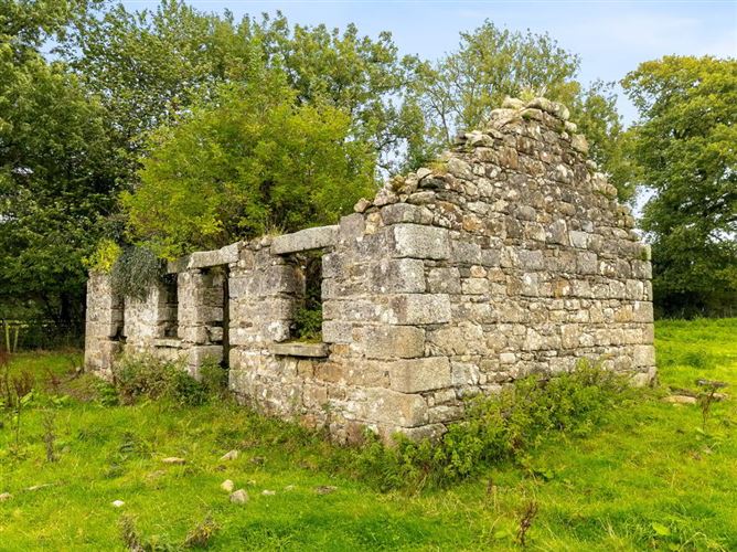 Talbotstown Fort, Kiltegan, Wicklow