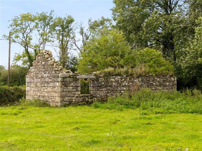 Talbotstown Fort, Kiltegan, Wicklow