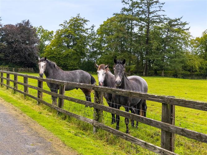 Talbotstown Fort, Kiltegan, Wicklow