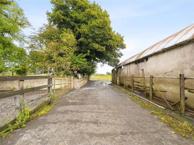 Talbotstown Fort, Kiltegan, Wicklow