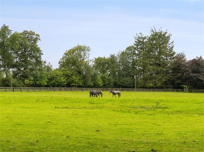 Talbotstown Fort, Kiltegan, Wicklow