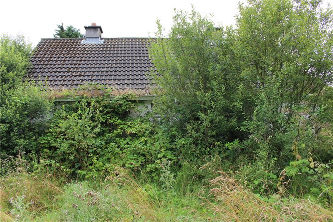 Ballyhiague, Williamstown, Co. Galway