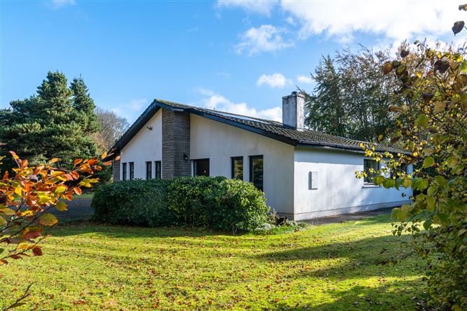 Hodson Bay, Athlone West, Roscommon