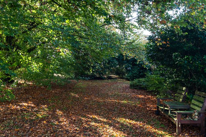 Hodson Bay, Athlone West, Roscommon
