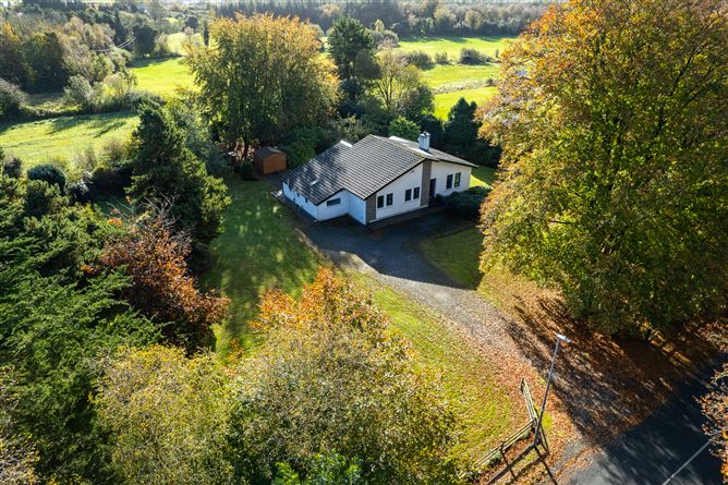 Hodson Bay, Athlone West, Roscommon