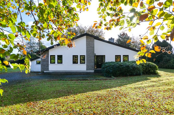 Hodson Bay, Athlone West, Roscommon