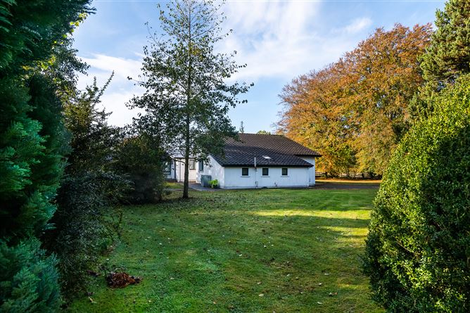 Hodson Bay, Athlone West, Roscommon