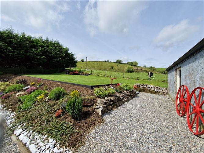 Carrownedin, Killasser, Swinford