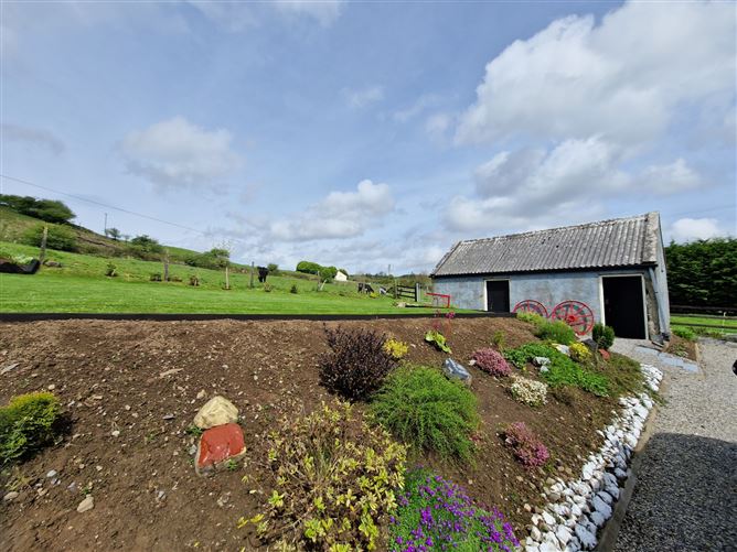 Carrownedin, Killasser, Swinford