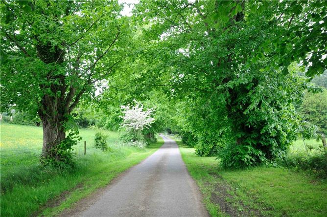 0.77 Acre Residential Site, Moyaliffe, Ballycahill, Thurles, Co. Tipperary