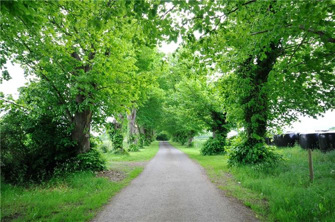 0.77 Acre Residential Site, Moyaliffe, Ballycahill, Thurles, Co. Tipperary