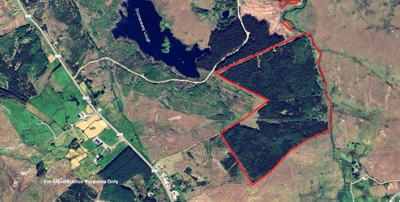 Forestry Lands Drumaneany, Fintown, Co. Donegal