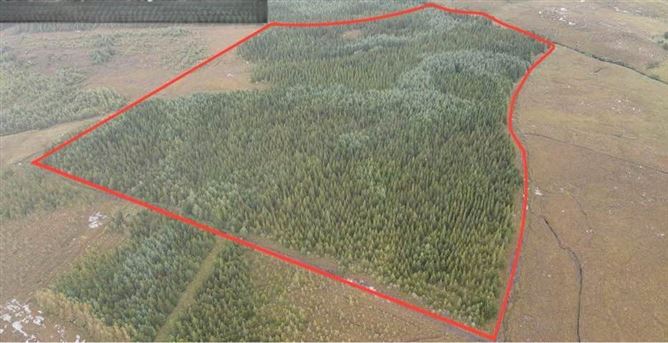 Forestry Lands Drumaneany, Fintown, Co. Donegal