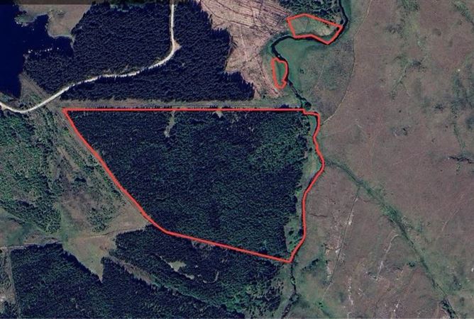 Forestry Lands Drumaneany, Fintown, Co. Donegal