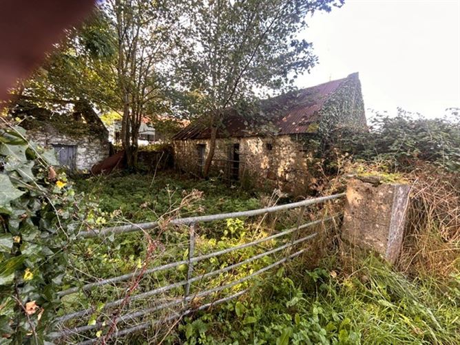 Grange,Granlahan, Ballinlough, Roscommon
