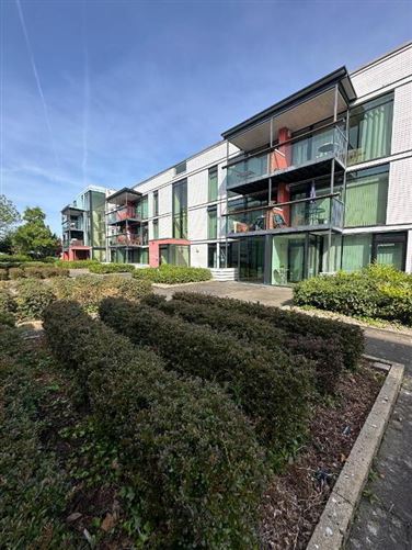 1b The Ash, Avenue, Countess Road, Killarney, Kerry