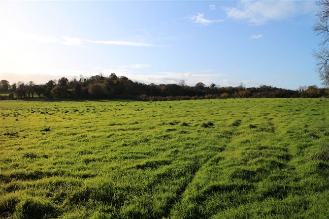 Main image for Ballybought, Durrow, Tullamore, Co. Offaly