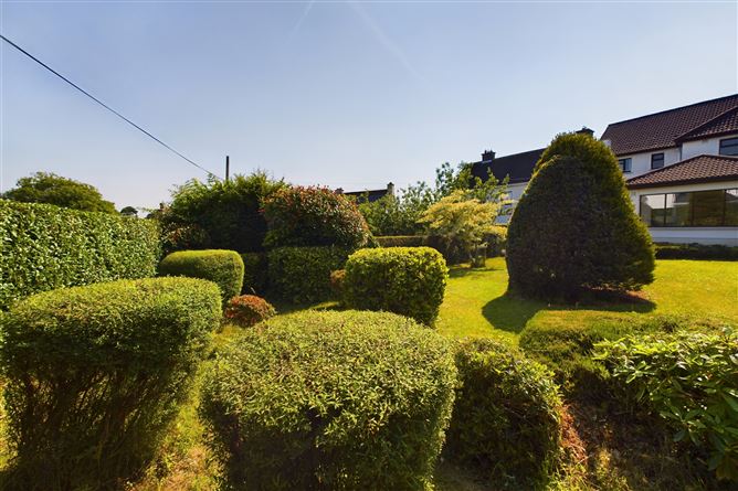 San Antonio, Hillside Grove, Waterford City, Waterford