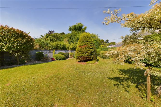San Antonio, Hillside Grove, Waterford City, Waterford