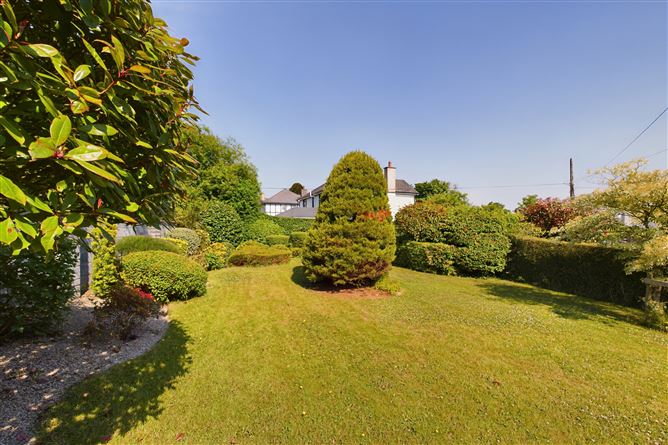 San Antonio, Hillside Grove, Waterford City, Waterford