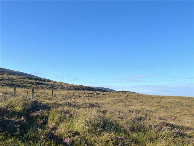 Ellaghmore, Bonniconlon, Ballina, Mayo
