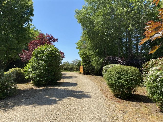 Coonogue, Adamstown, Wexford