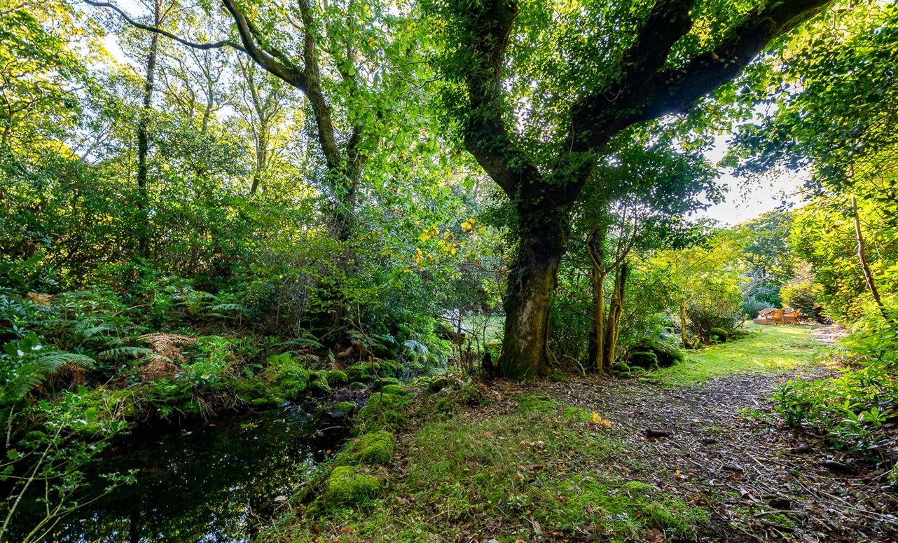 Cove Lodge, Coolownig, Lauragh, Kenmare, Co. Kerry Cove Lodge, Coolownig, Lauragh, Kenmare, Co. Kerry