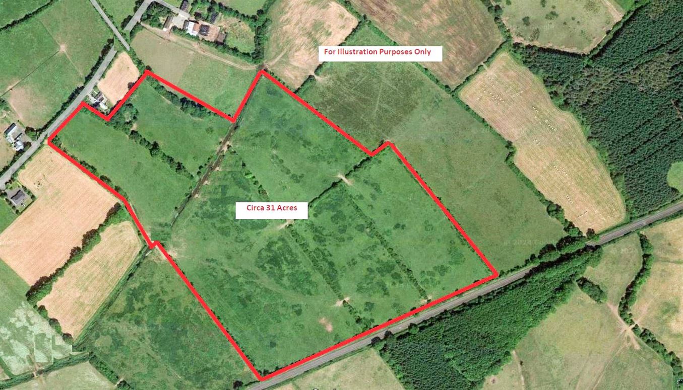 Lands Ballyholahan West, Clanwilliam, Emly, Tipperary