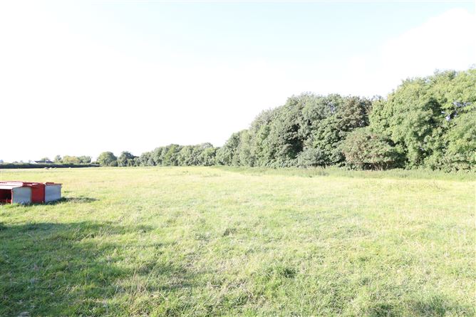 Rathcormick, Kildalkey, Co. Meath
