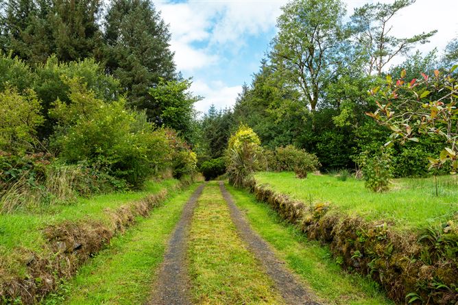 Milleens, Coolea, Ballyvourney, Cork