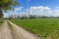 Windfield Demesne , Menlough , Ballinasloe , Co. Galway