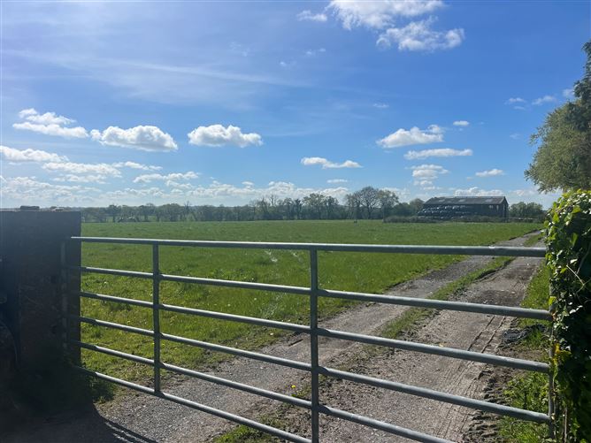Photo 11 of 12 — Windfield Demesne , Menlough , Ballinasloe , Co., Galway
