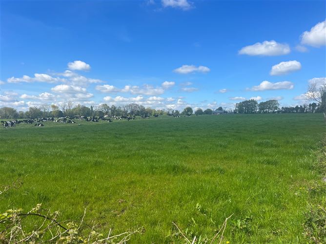 Windfield Demesne , Menlough , Ballinasloe , Co., Galway