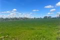 Windfield Demesne , Menlough , Ballinasloe , Co. Galway