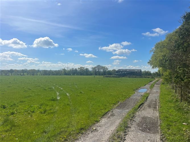 Windfield Demesne , Menlough , Ballinasloe , Co., Galway