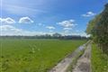 Windfield Demesne , Menlough , Ballinasloe , Co. Galway