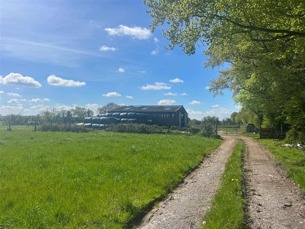 Windfield Demesne , Menlough , Ballinasloe , Co., Galway