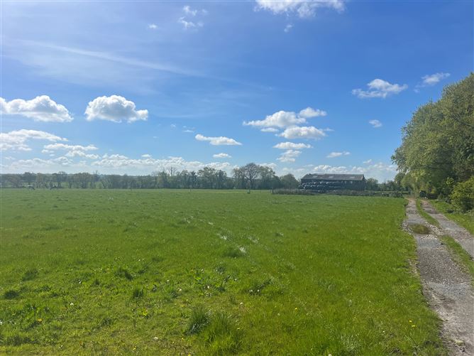 Windfield Demesne , Menlough , Ballinasloe , Co., Galway