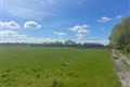 Windfield Demesne , Menlough , Ballinasloe , Co. Galway