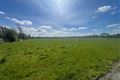 Windfield Demesne , Menlough , Ballinasloe , Co. Galway