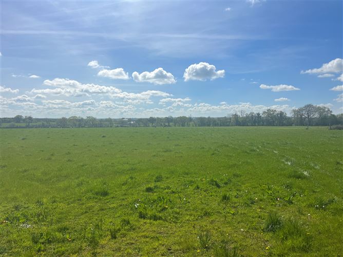 Photo 8 of 12 — Windfield Demesne , Menlough , Ballinasloe , Co., Galway