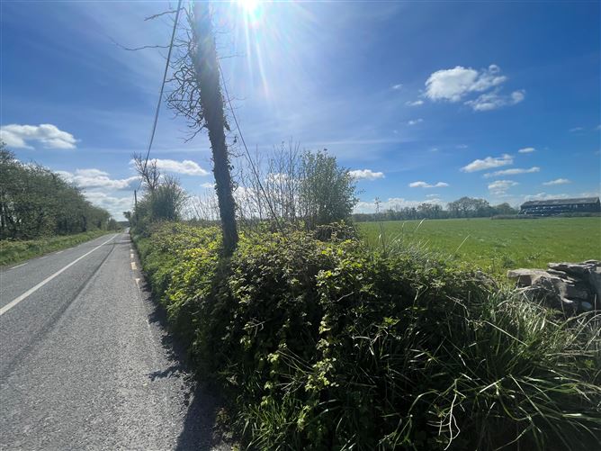 Photo 9 of 12 — Windfield Demesne , Menlough , Ballinasloe , Co., Galway