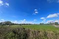 Windfield Demesne , Menlough , Ballinasloe , Co. Galway