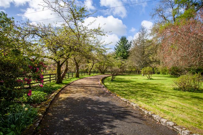 Detached Residence On c. 6.23 Acres / 2.52 HA., Slaneyside, Raheen, Baltinglass, Wicklow