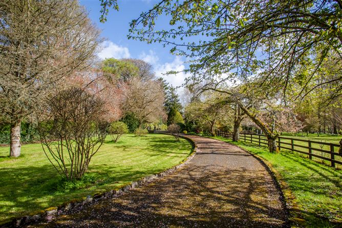 Detached Residence On c. 6.23 Acres / 2.52 HA., Slaneyside, Raheen, Baltinglass, Wicklow