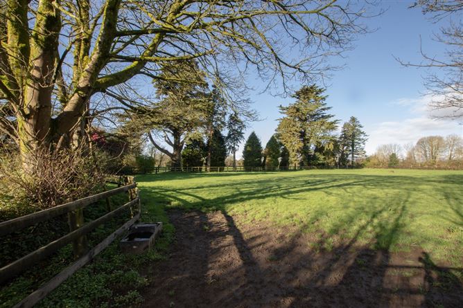 Ozier Hil, Taghmon, Wexford